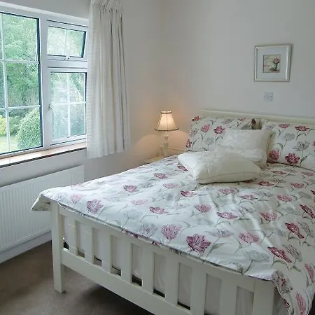 Bed & Breakfast Innwood House Kilrush